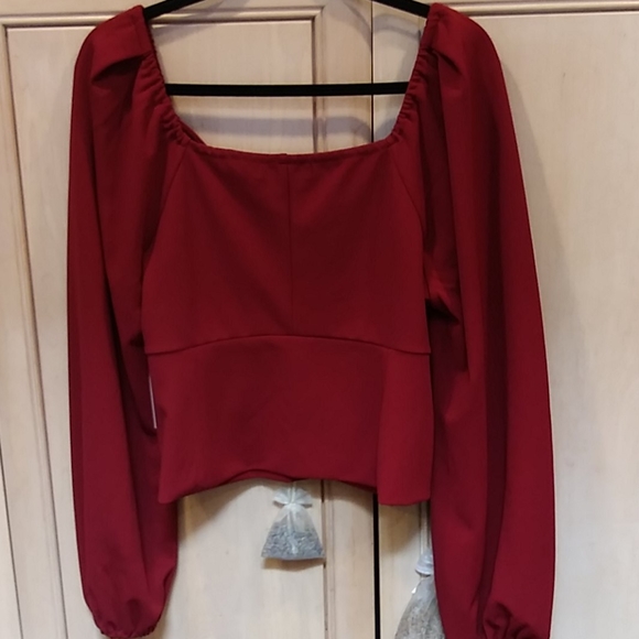 Fashion To Figure Deep Red Crop Top - Picture 7 of 7